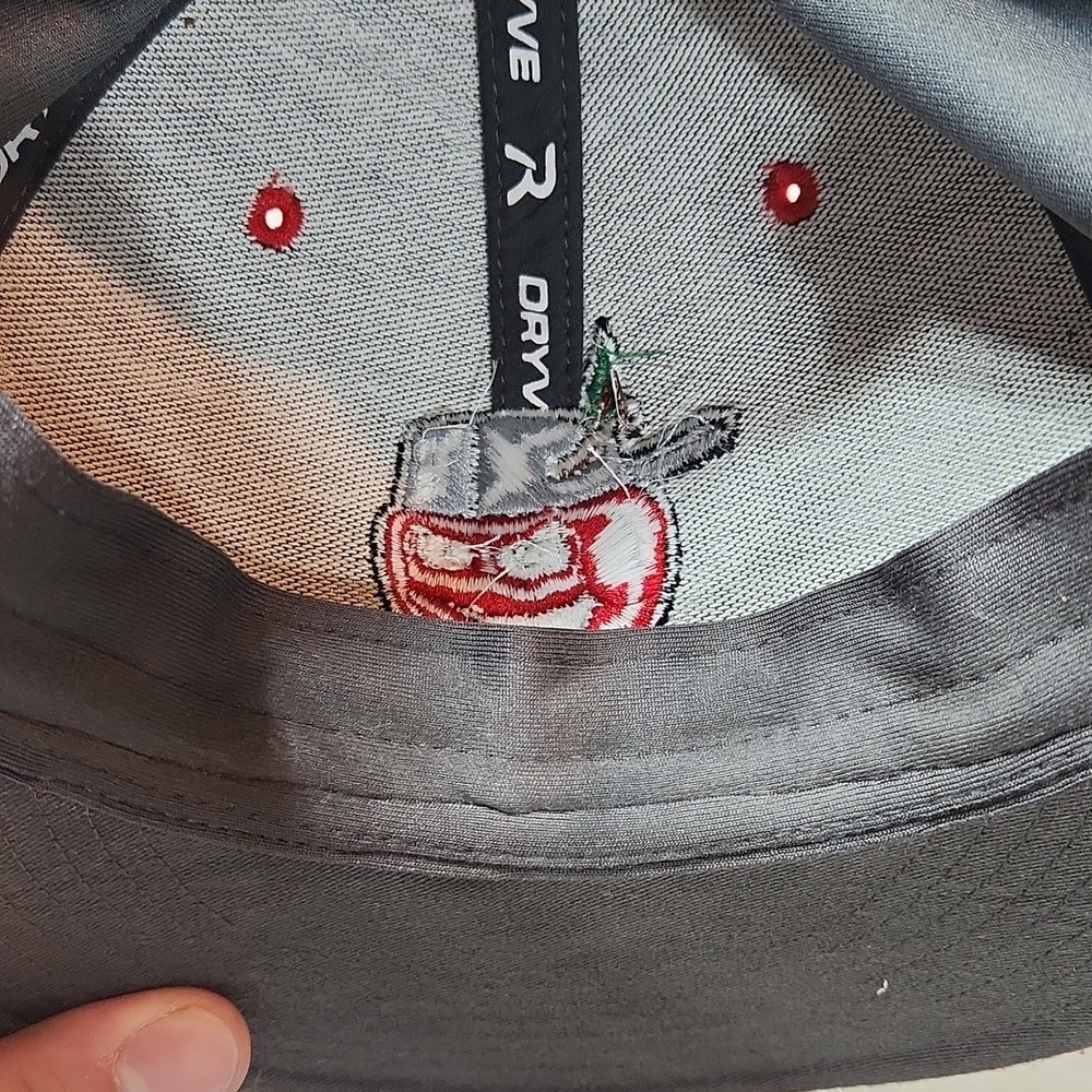 Fort Wayne Tin Caps Hat - Picture 7 of 8